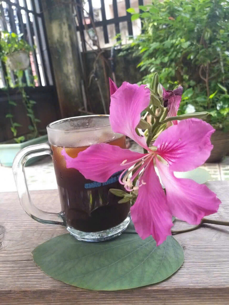 Hoa-Ban-Duong-Tu-Kinh